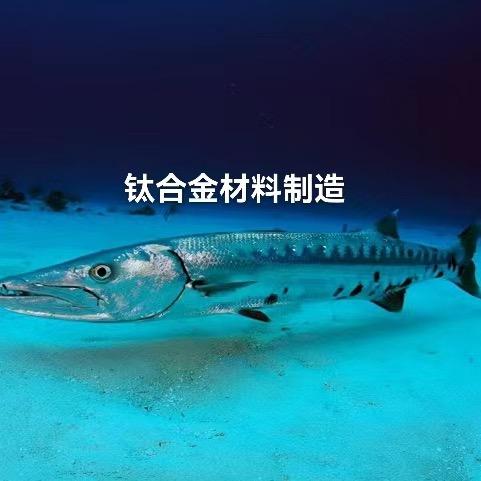 钛金属制品