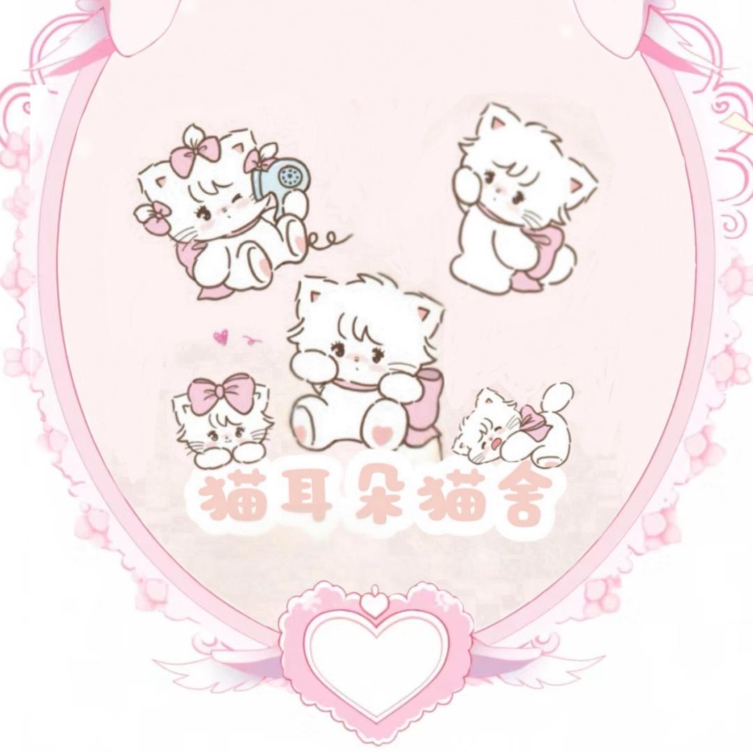 猫耳朵家庭繁育🐈