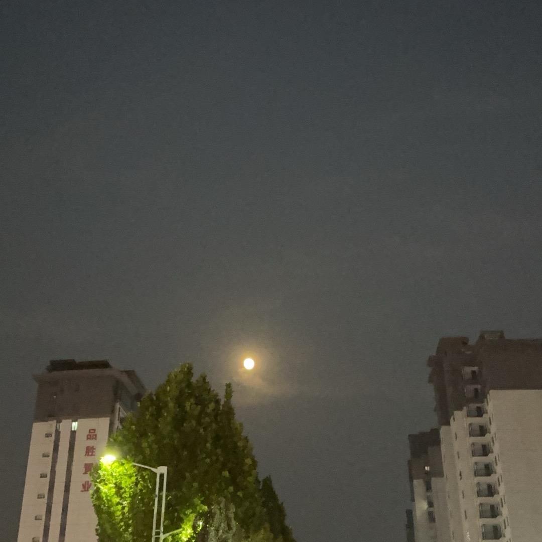 an就这么任性