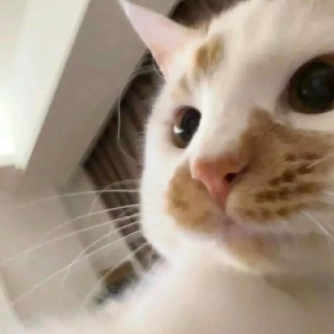 小歪