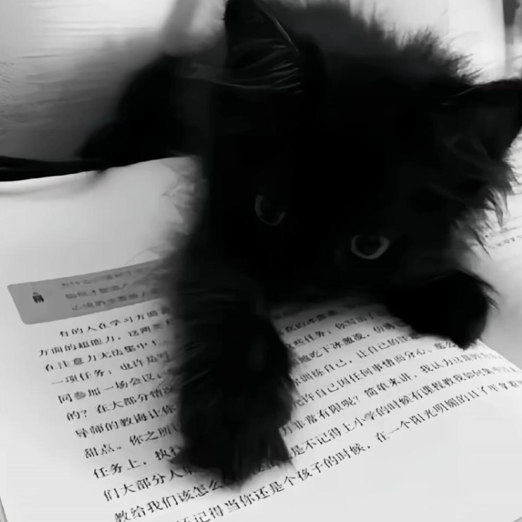 呆呆