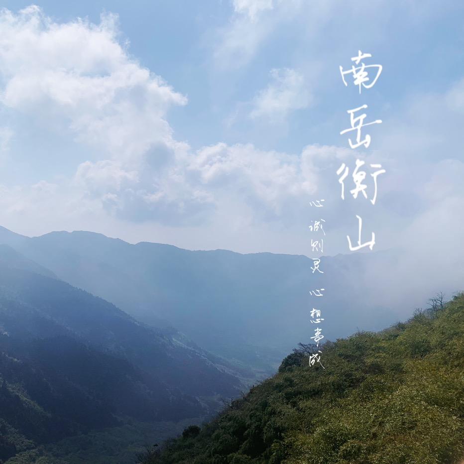 紫薯芋泥🥰