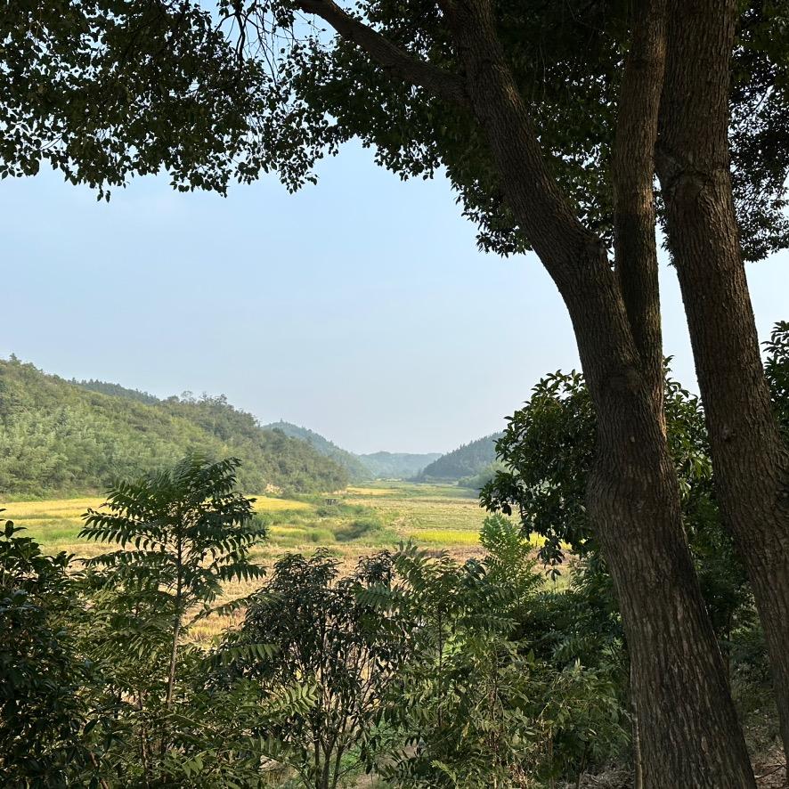 大野ye