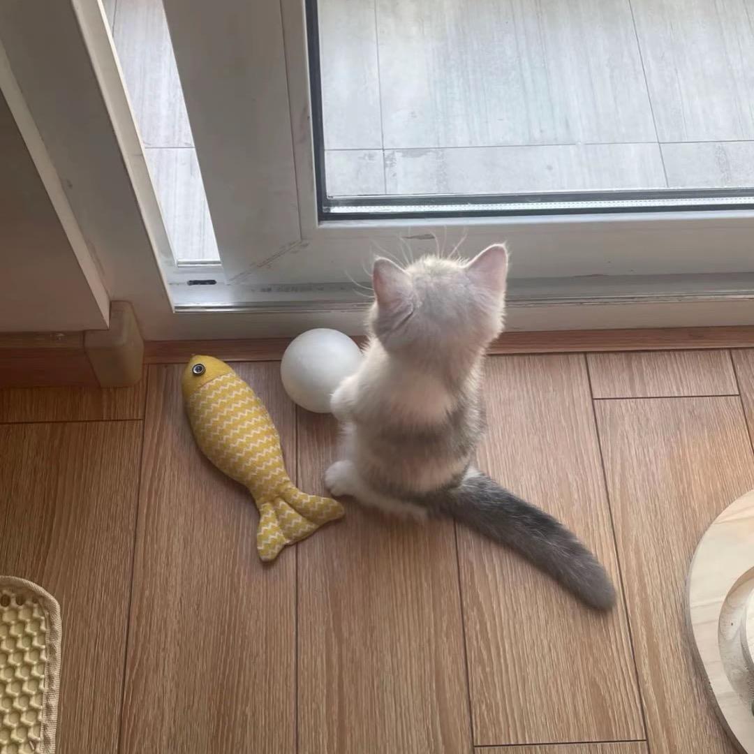 小y^