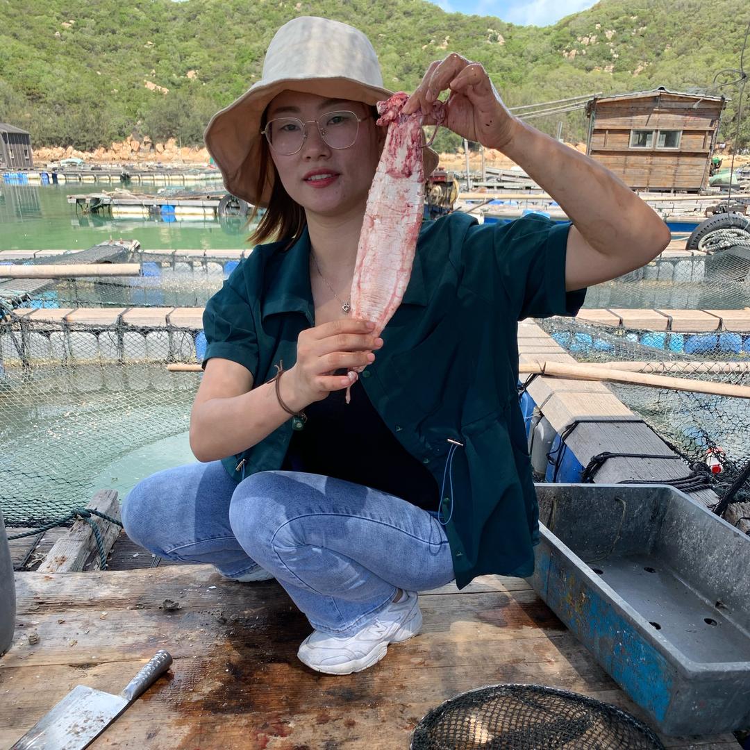 启来顺南澳特产