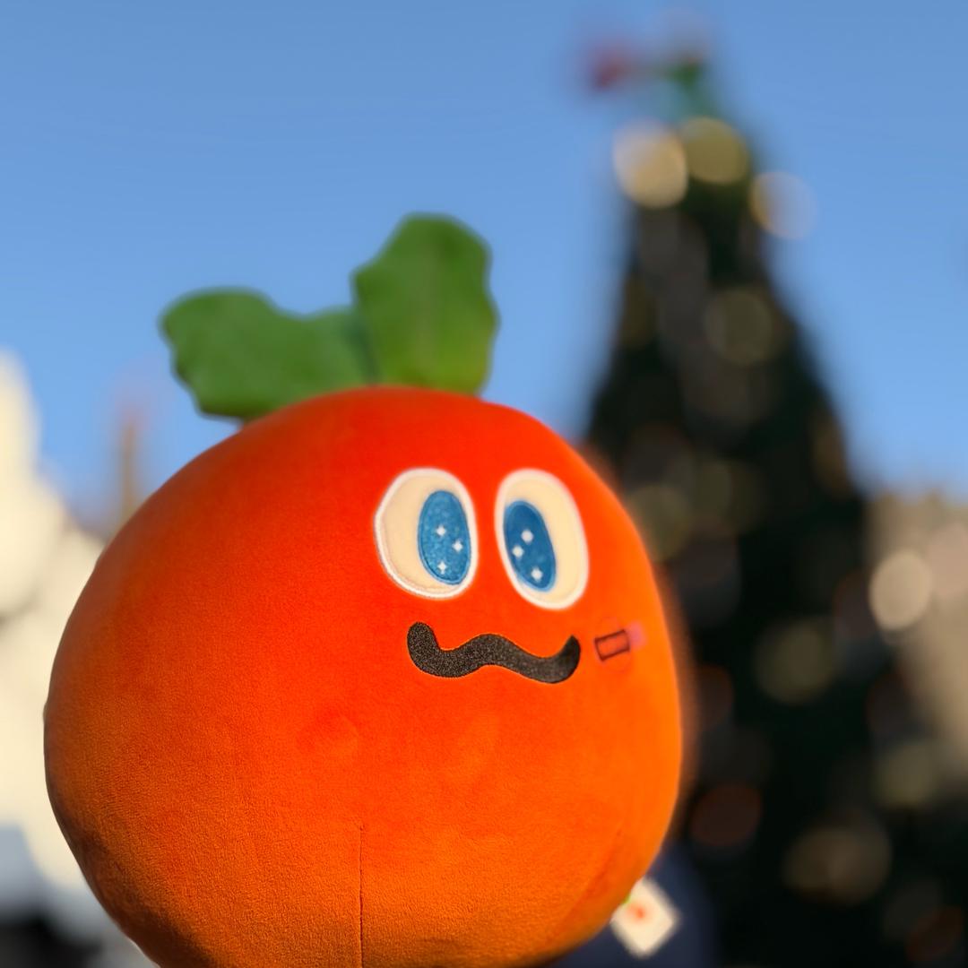 比阿信小十二岁的小莫🥕