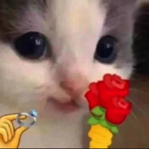 带饭日记（打工人版）