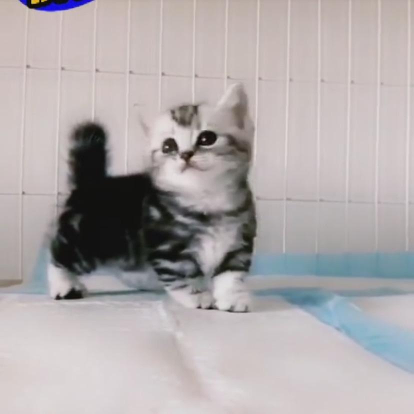 财源广进  进财