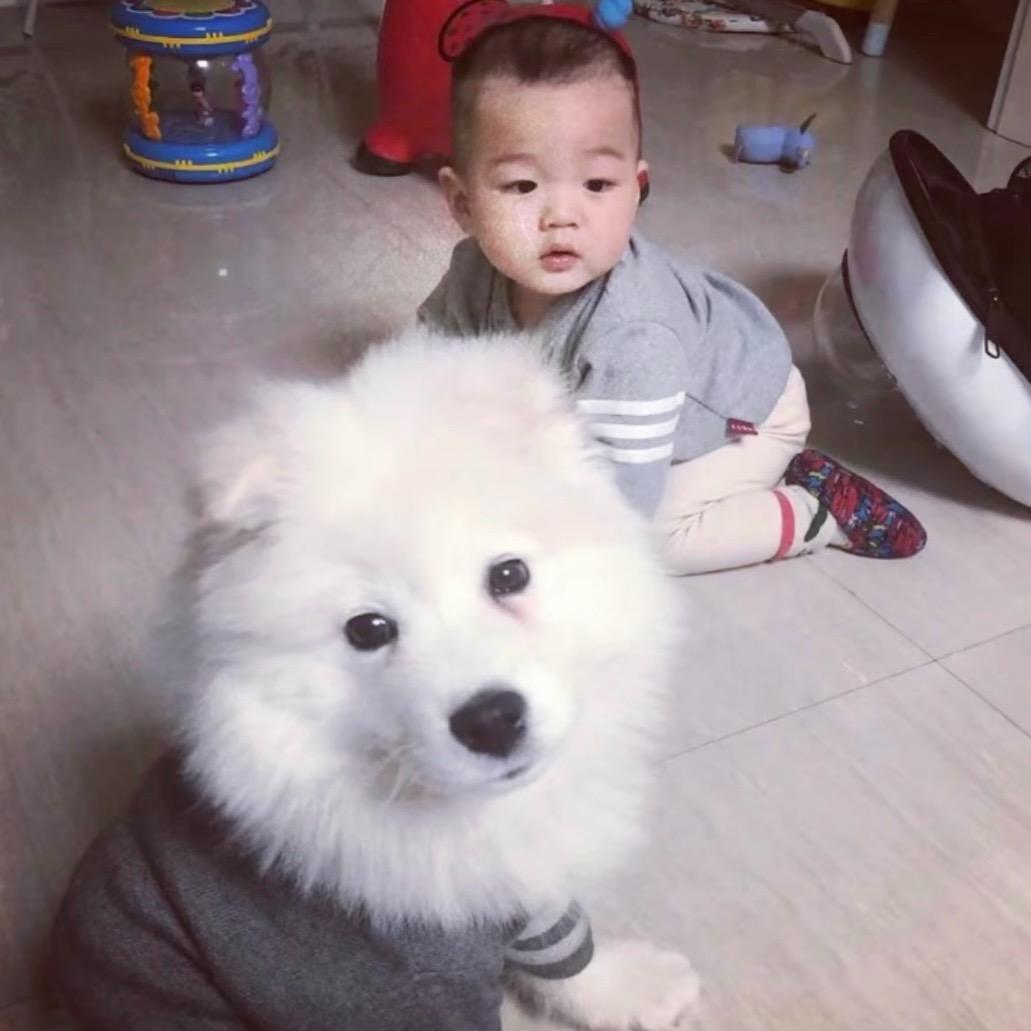 落了白.