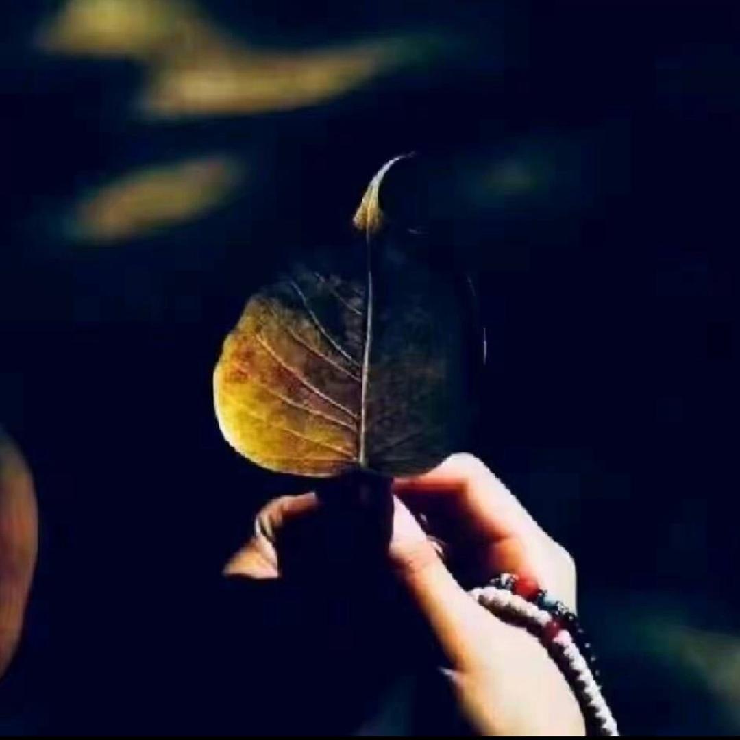 ࿐🥂