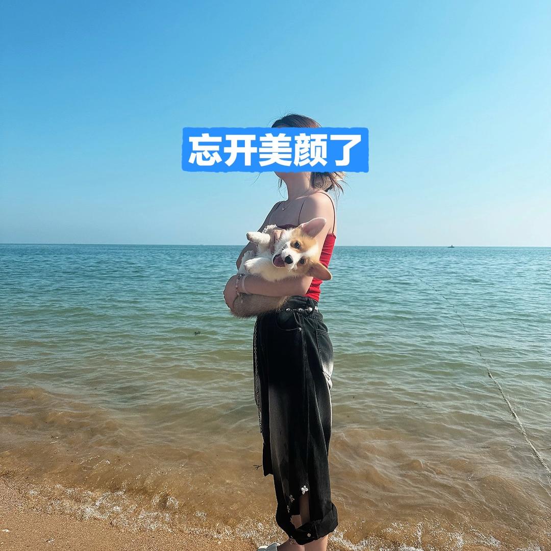 孙矫情🌞