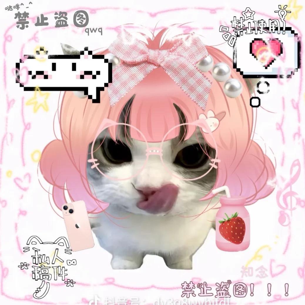 恋屿🐱奶面🌷🌸