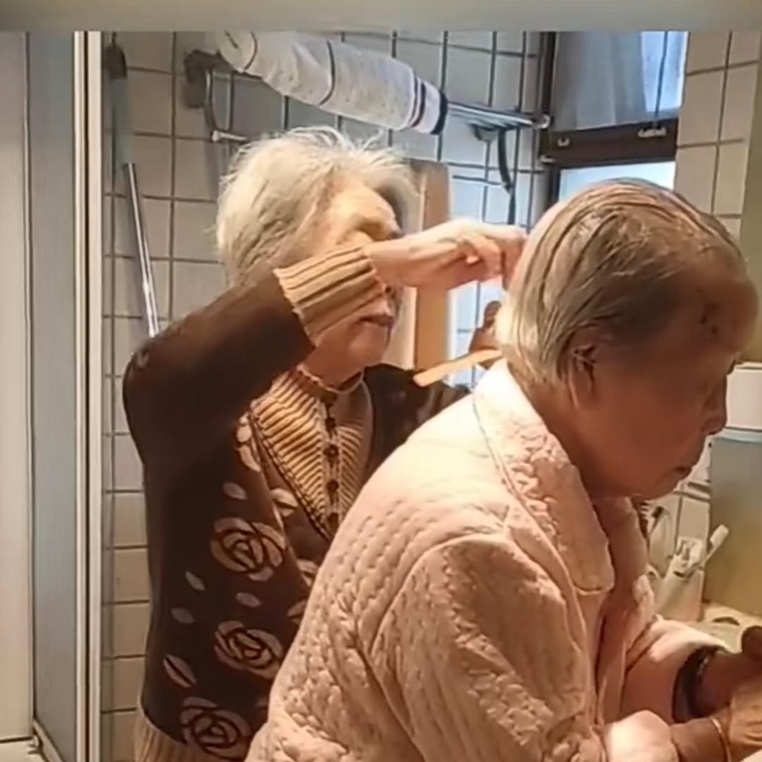 李子