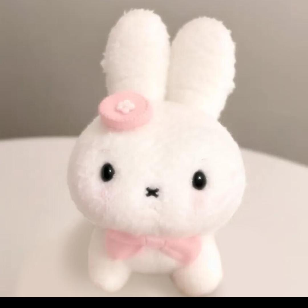 橙橙c