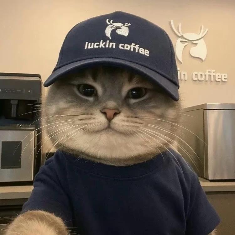 英俊的阳光老牛