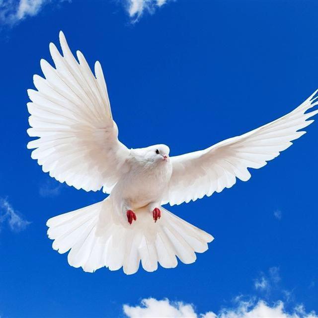 江小༽༾ཊ༻白ℛ加冰࿐ ✨