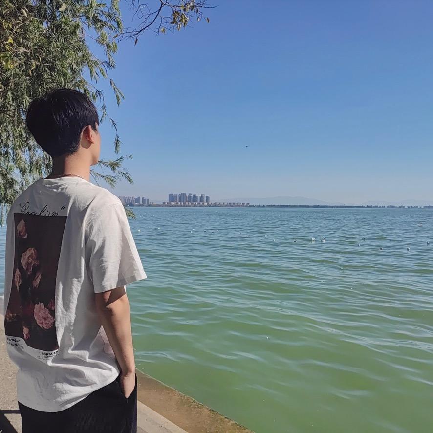 雾散风起时