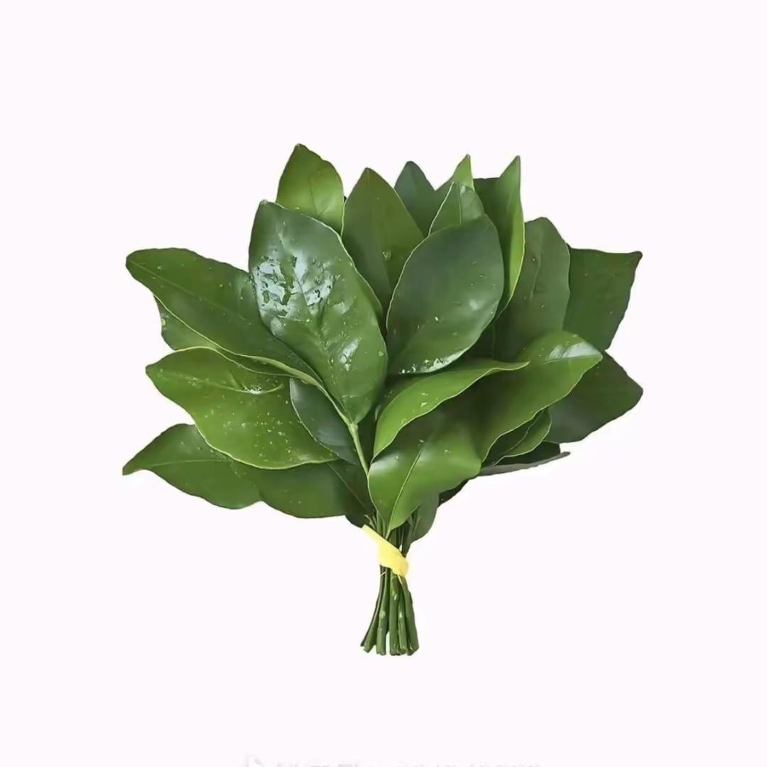 妞妞🫧
