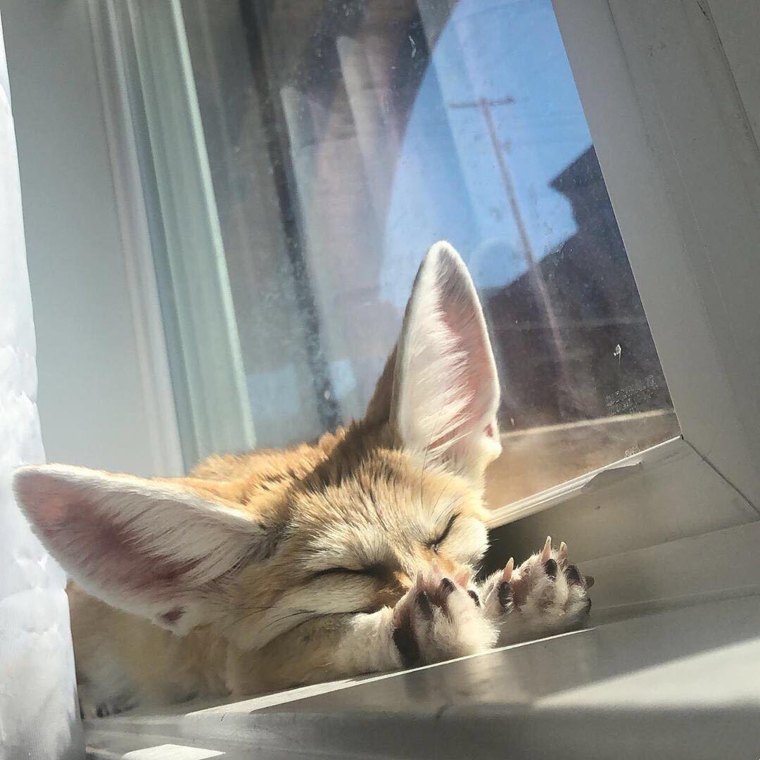 🔆