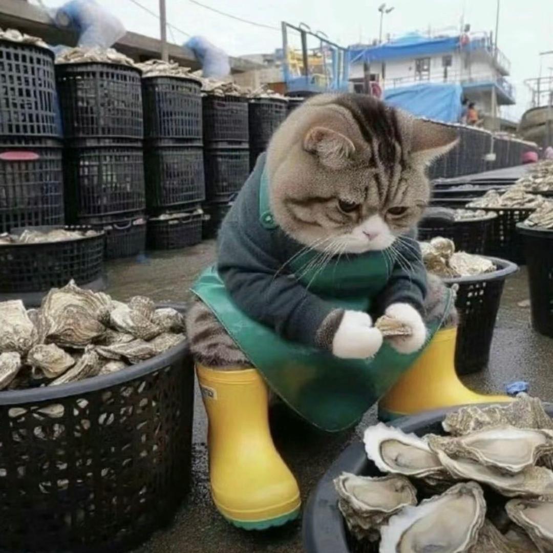 舟山凯瑞水产。凯㿝㝊