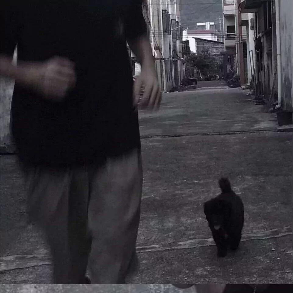 專署\涛