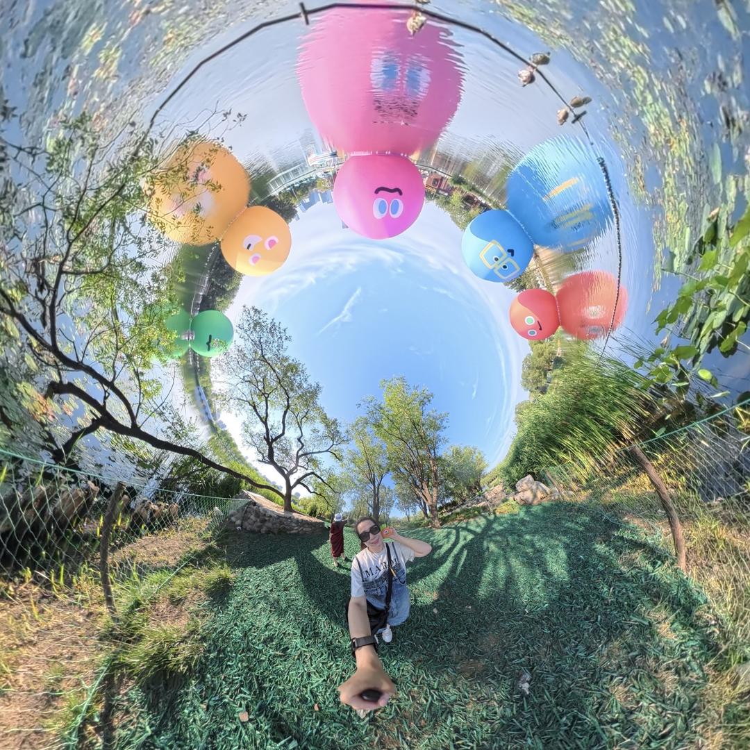 北投甜豆胡萝卜大王🥕