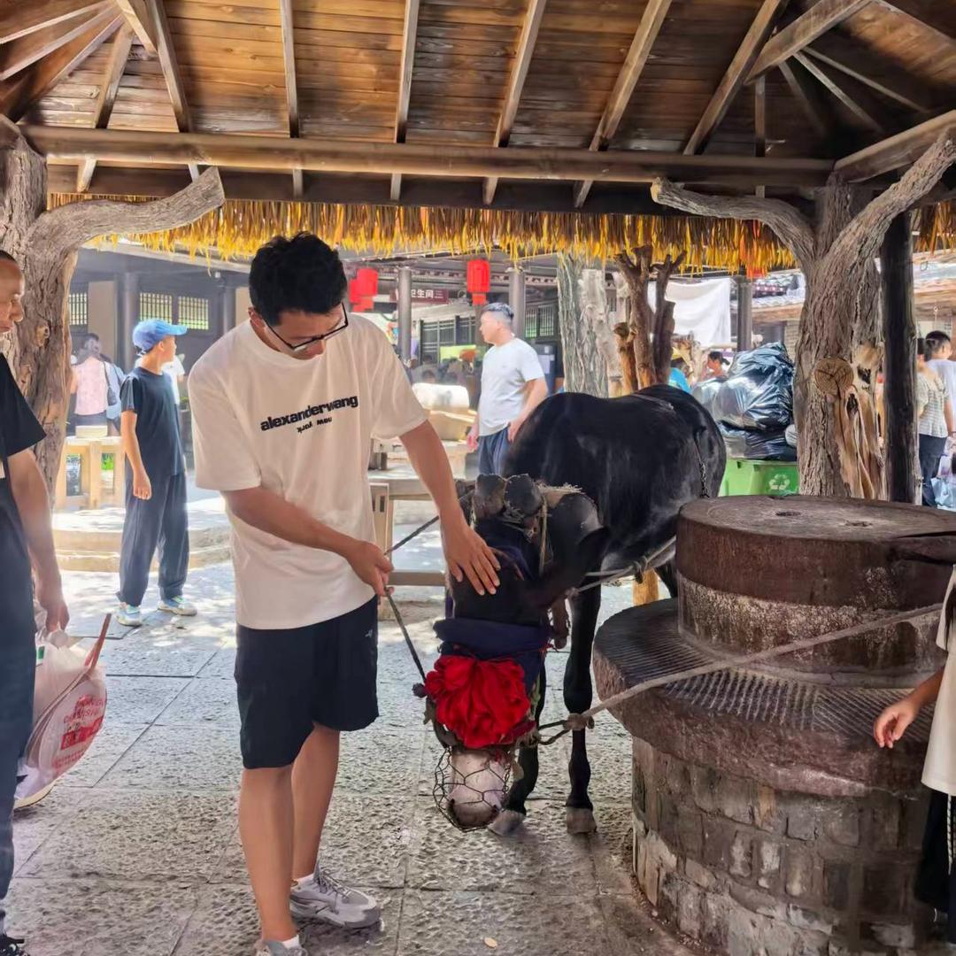 辰优二手车【专注批发】