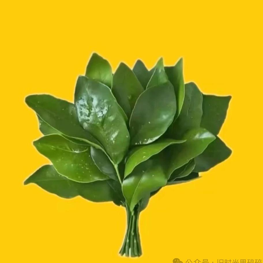 小耳朵oo