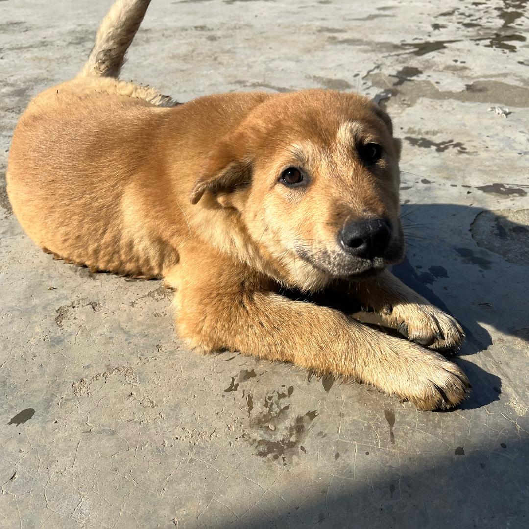 仙女不吃生鱼片