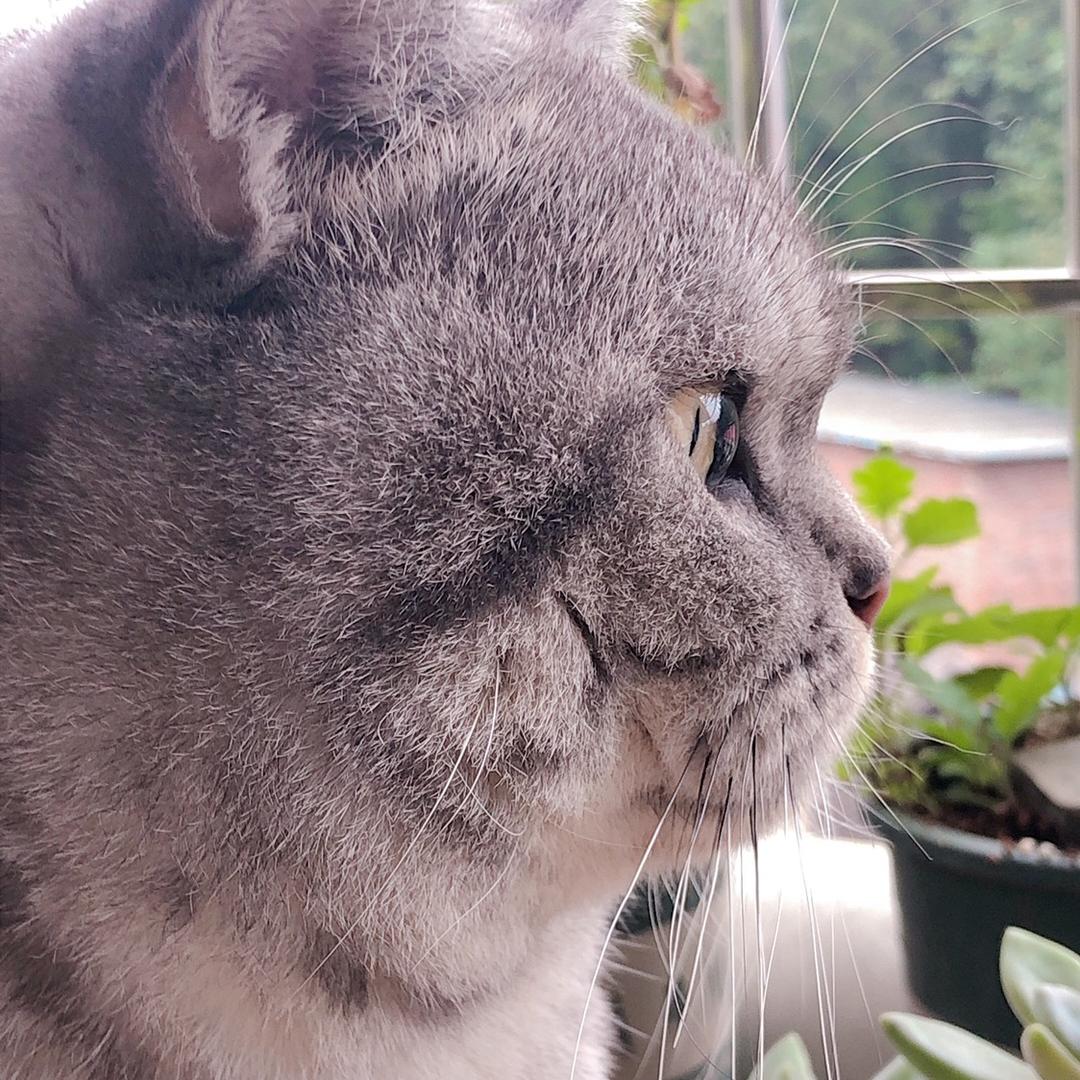 九支花财花艺-宋北北