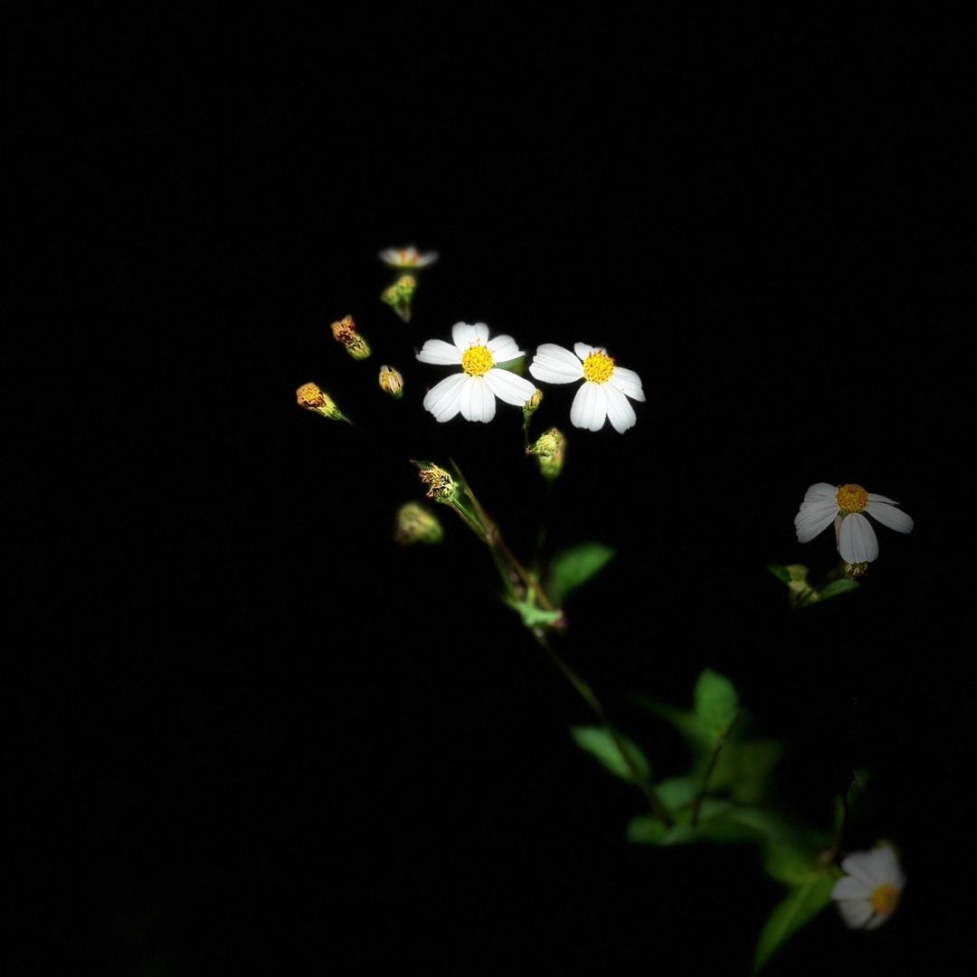 @小梁在泰国🇹🇭