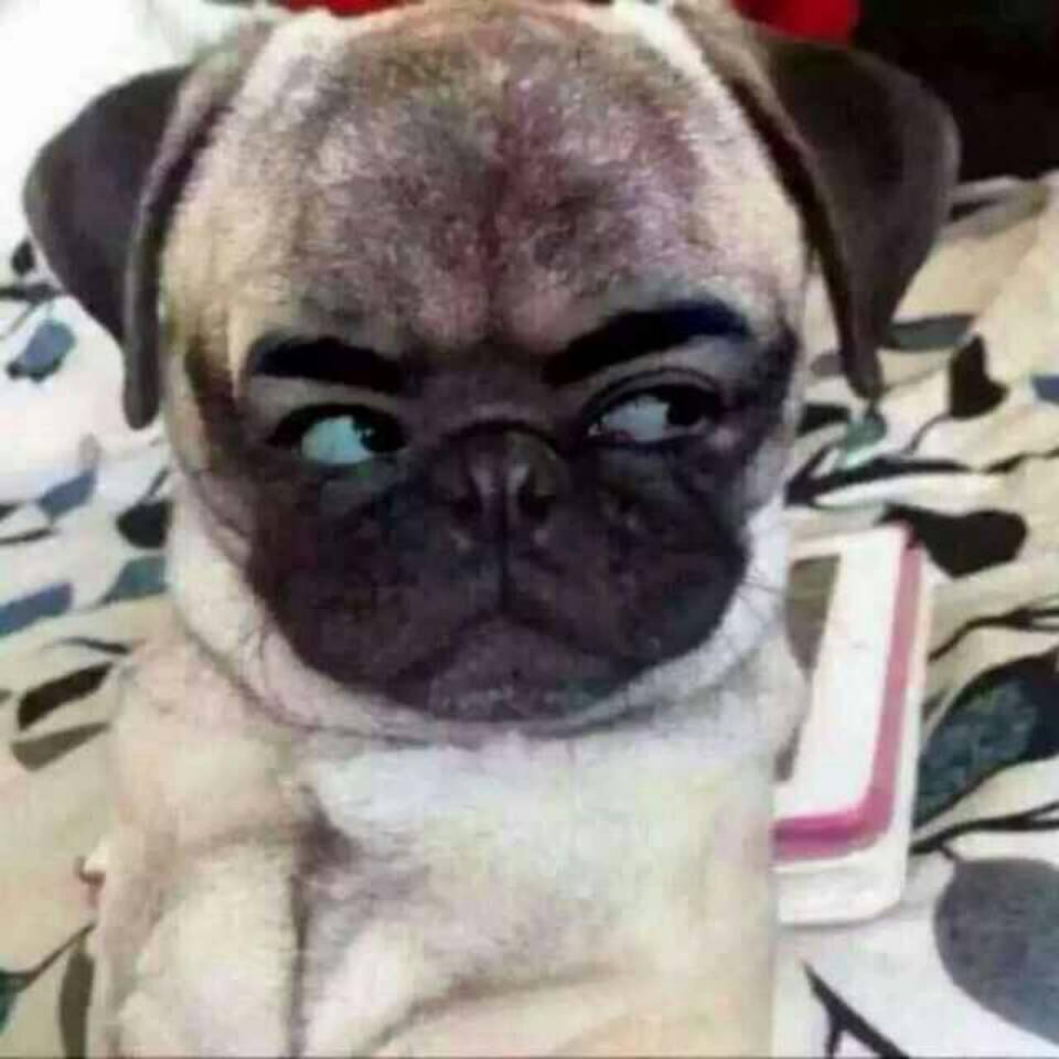 小小显眼包😘