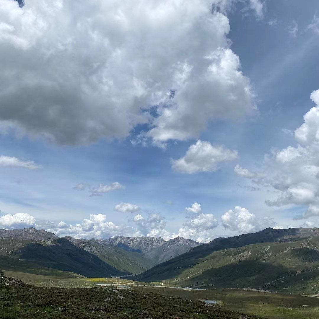 莒青湖咸鸭蛋 春瑶蛋品