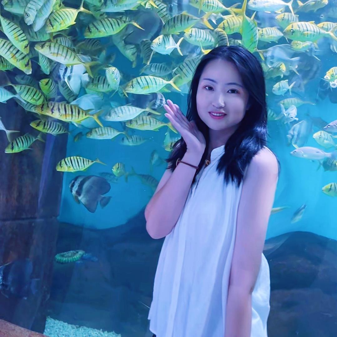 婷爱逛沈阳