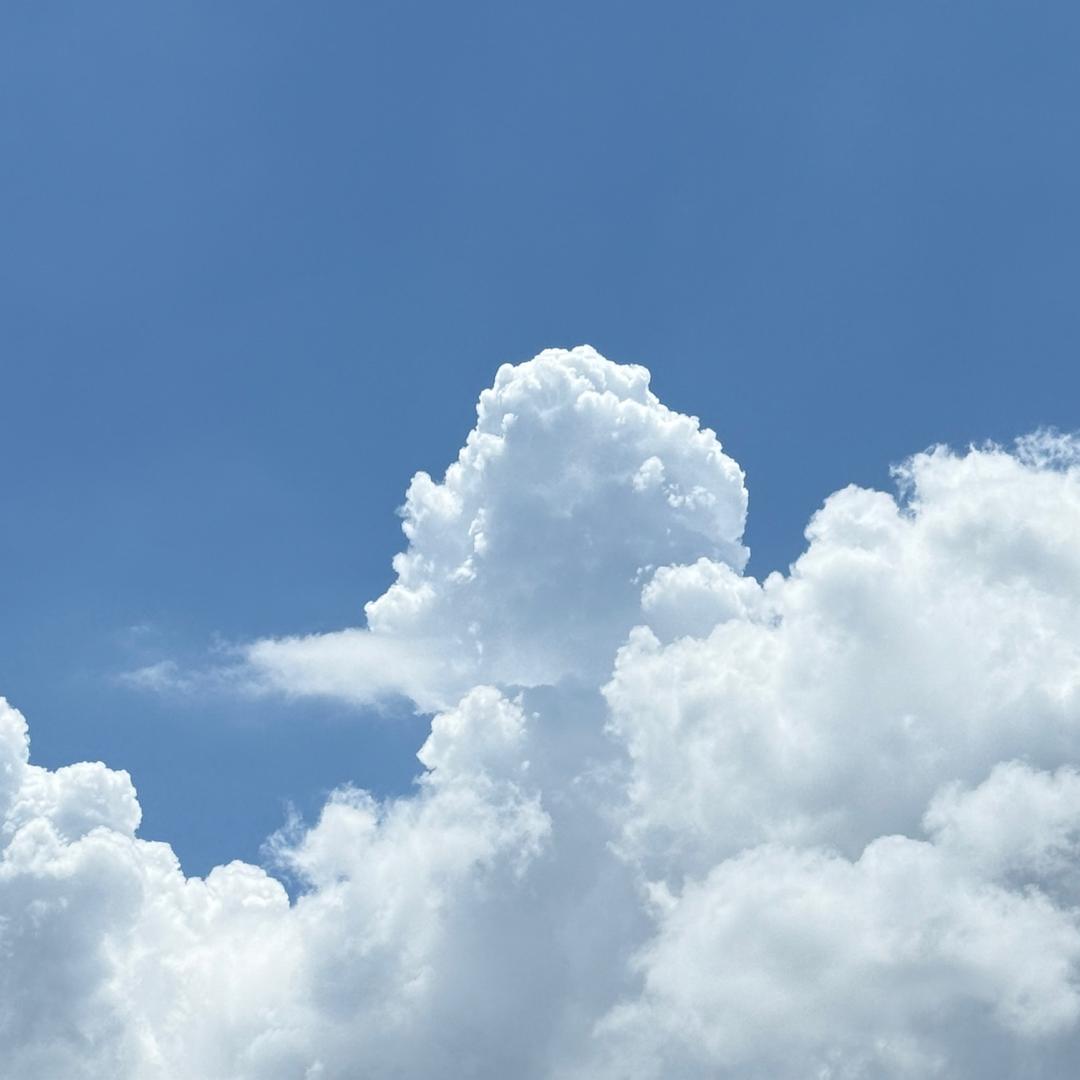 模艾芺喵🐈🐈‍⬛