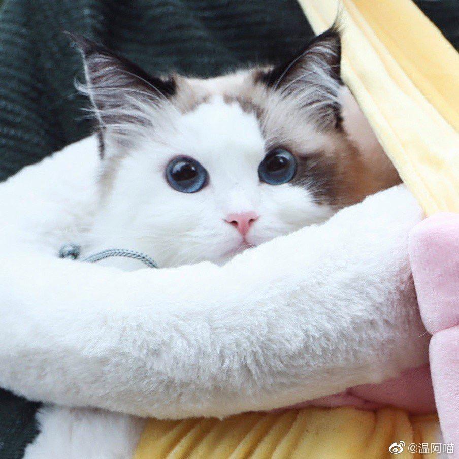 不期而遇🥰
