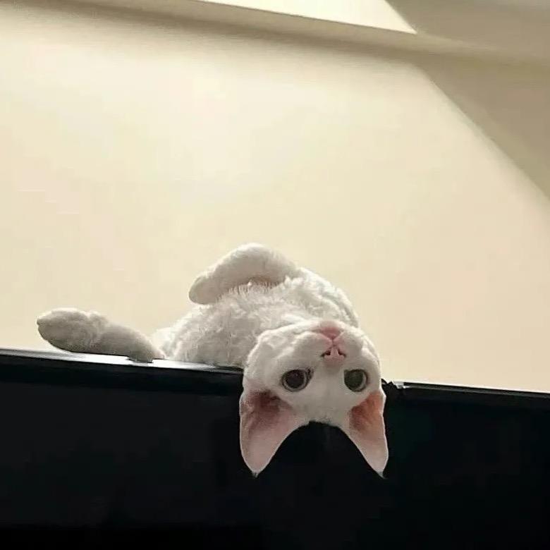 …..