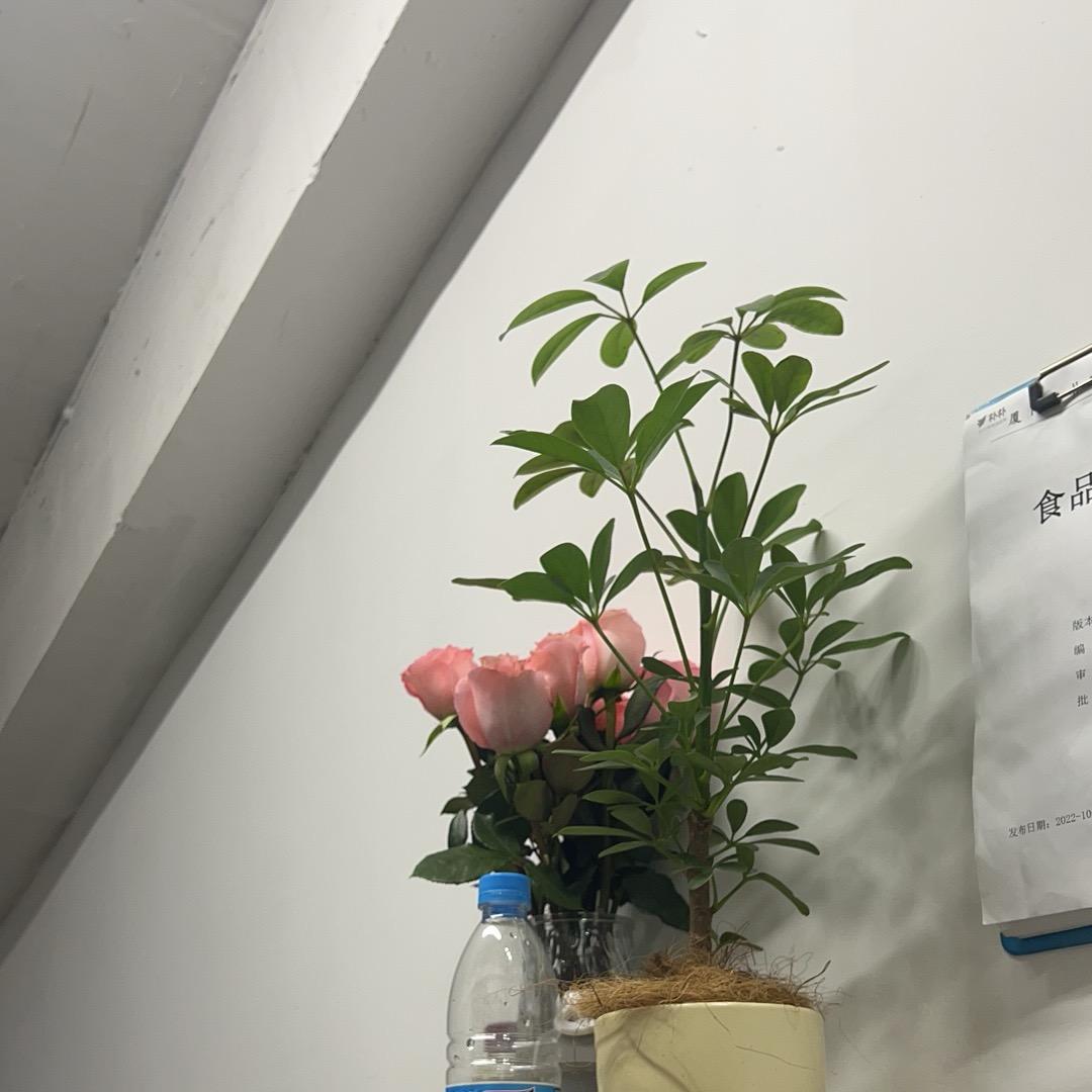 宏益华府店