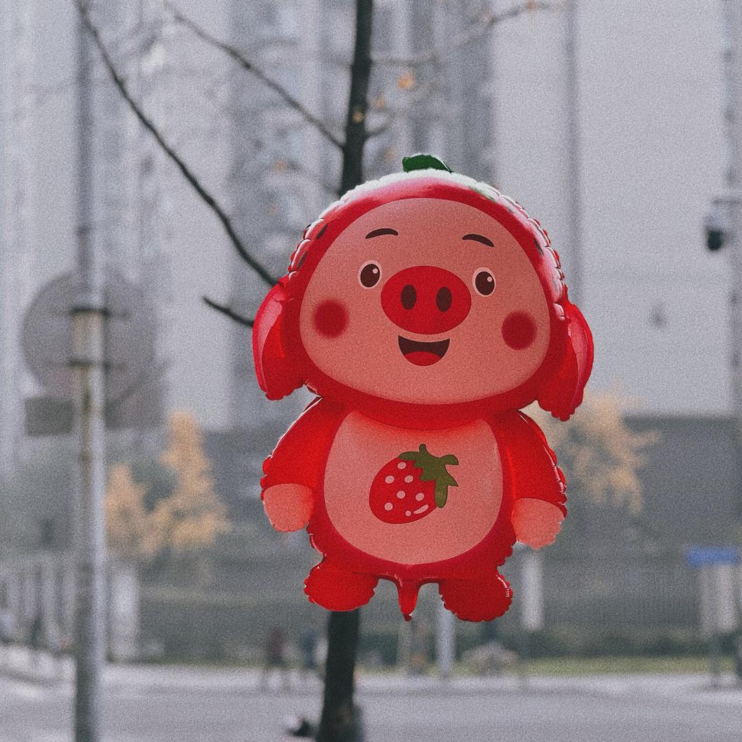 圆脸小何