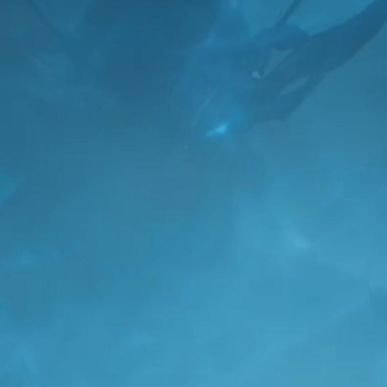 麋鹿li高端渔具