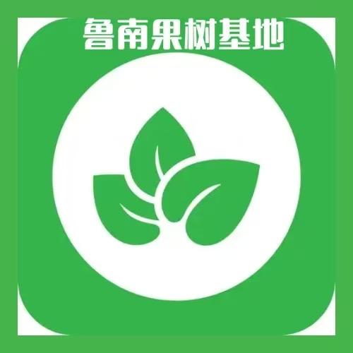 鲁南果树基地