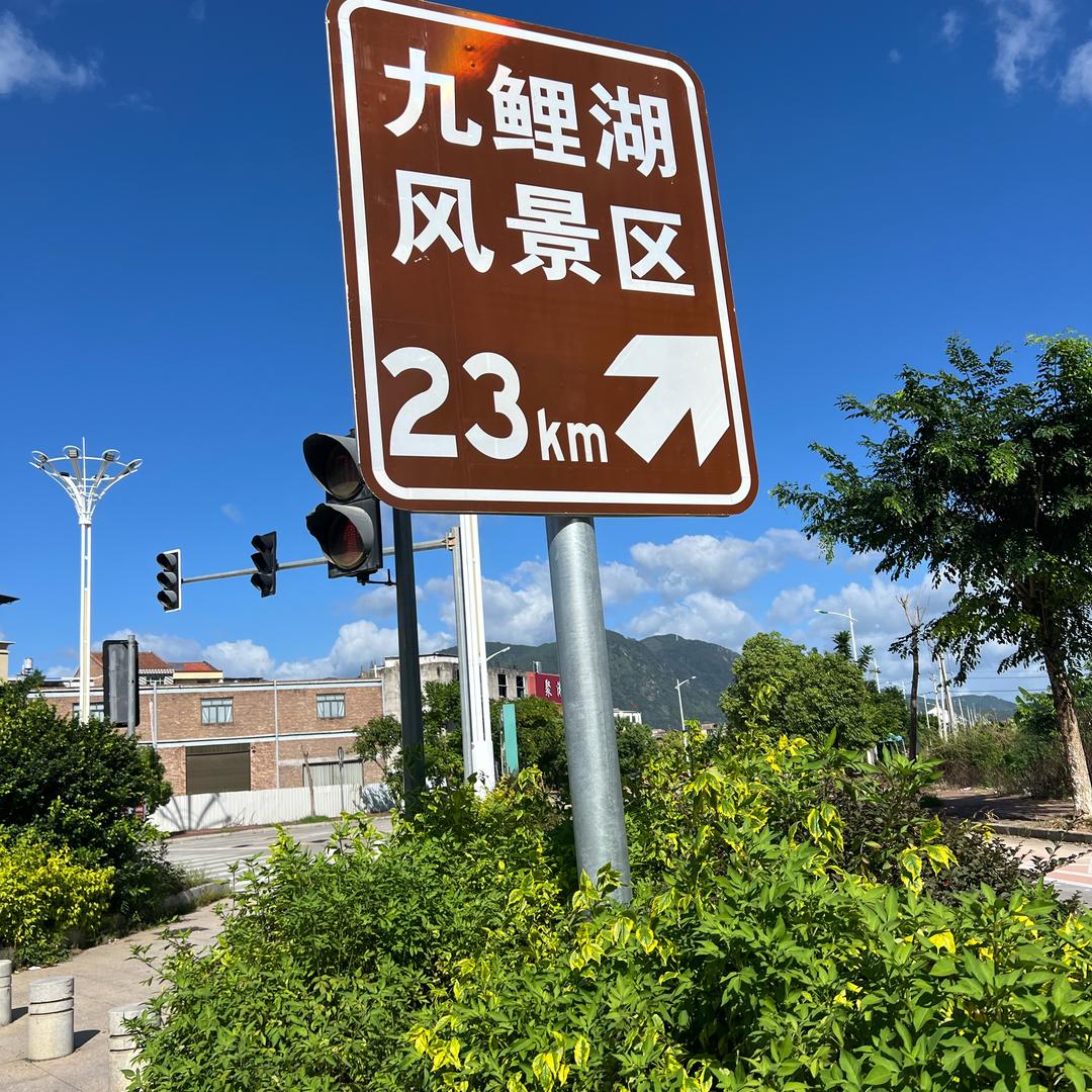 林木木