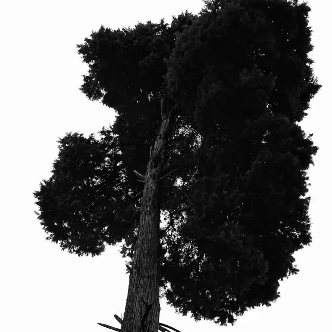 兴聚地产    小邓（团队招人）