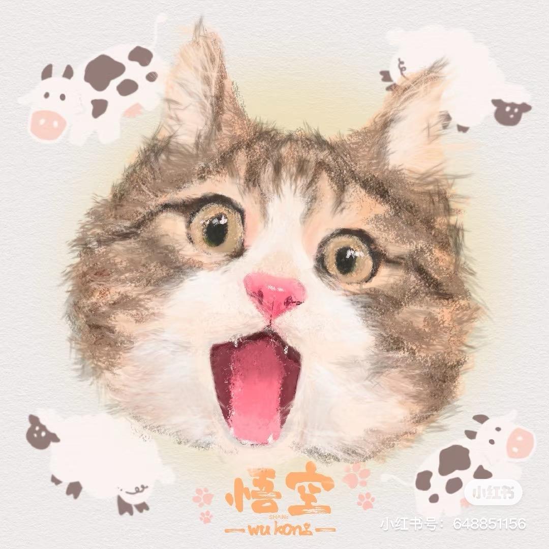 小猪包