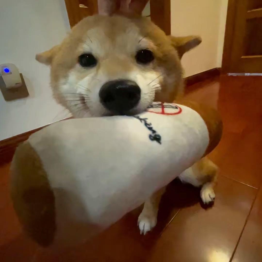窗无明月