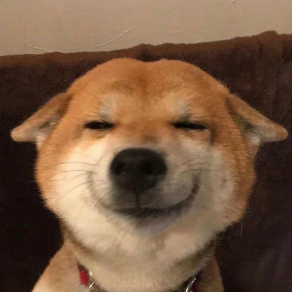 赵佳林.