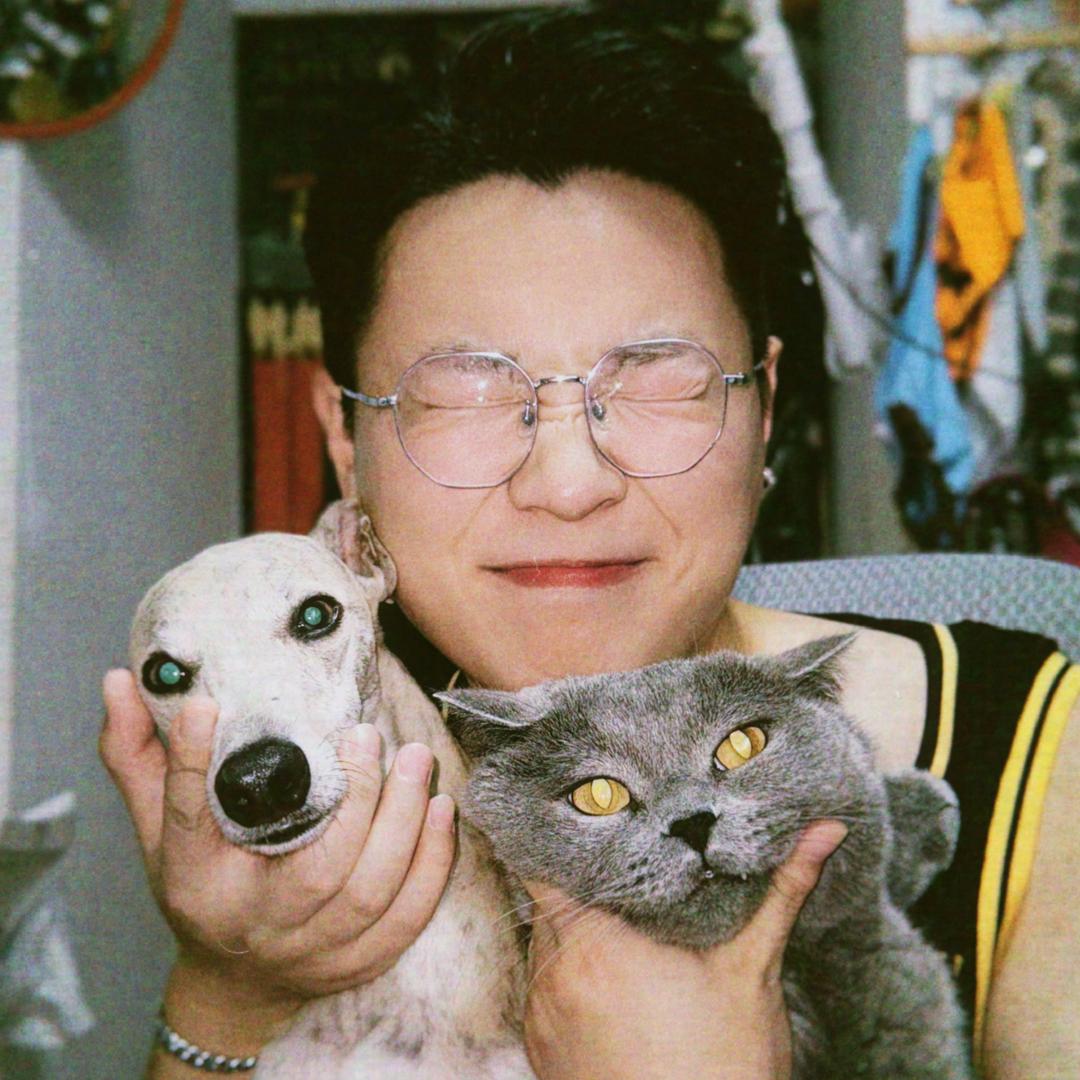 治上有干货