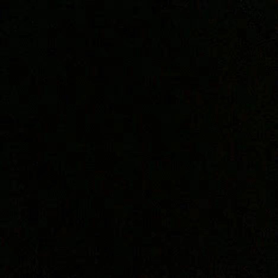 🌑