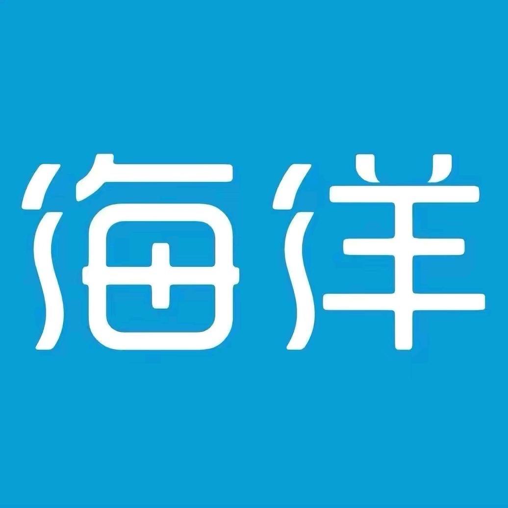 西藏铎隆汽车（比亚迪海洋网）-腾飞