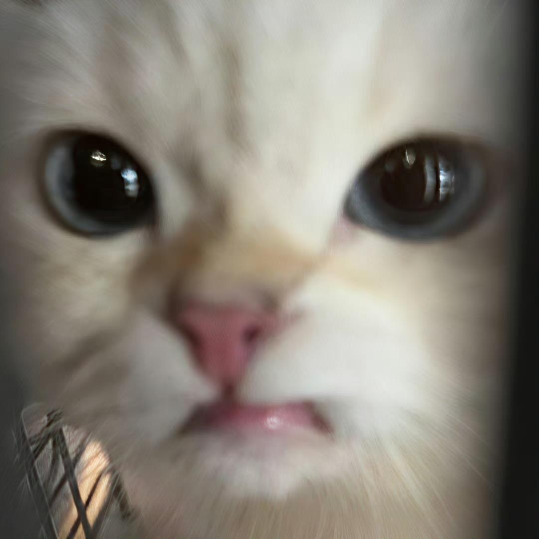 禁忌